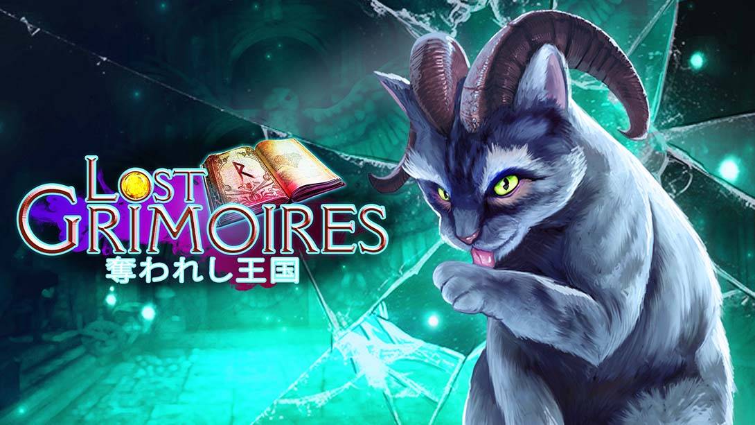 丢失的魔典:被盗的王国 Lost Grimoires: Stolen Kingdom