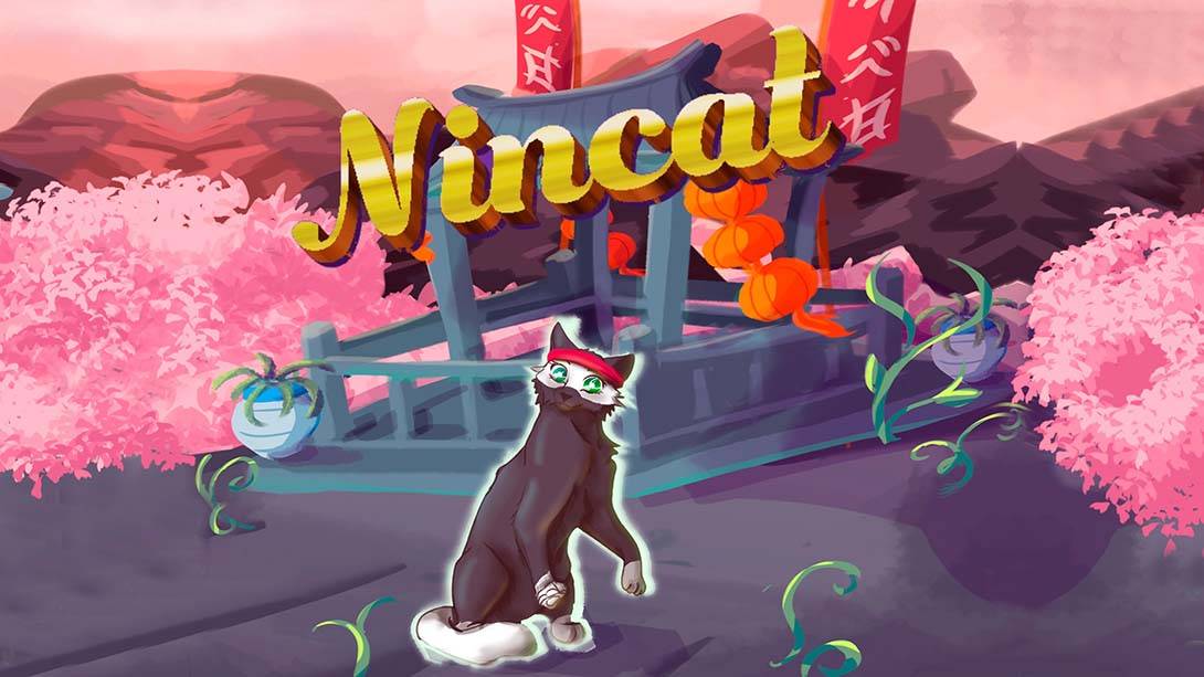 猫九 NinCat