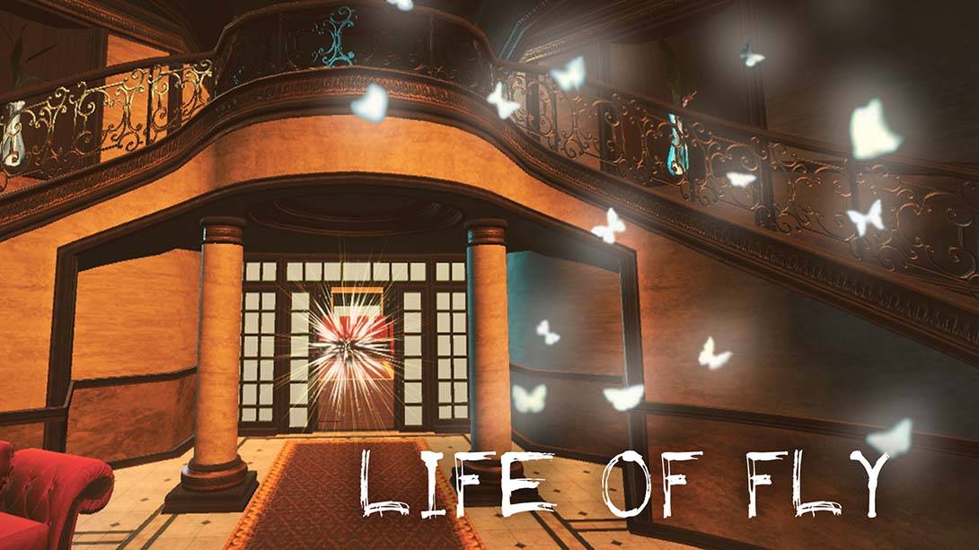 蝇的生活 Life of Fly